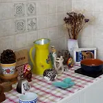 Archita *